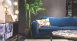 Transform Your Space: 9 Top Indoor Plants for Windowless Rooms and Dark Corners
