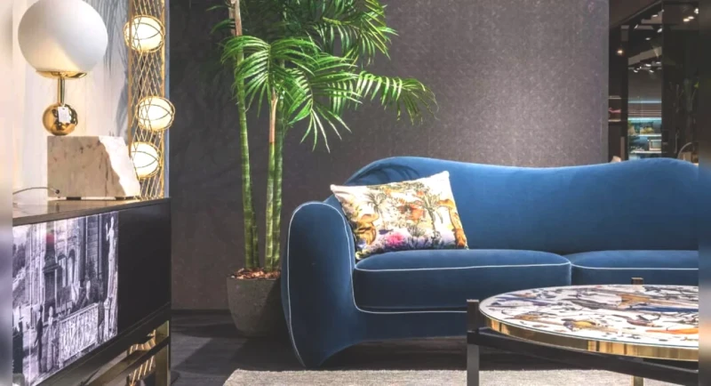 Transform Your Space: 9 Top Indoor Plants for Windowless Rooms and Dark Corners